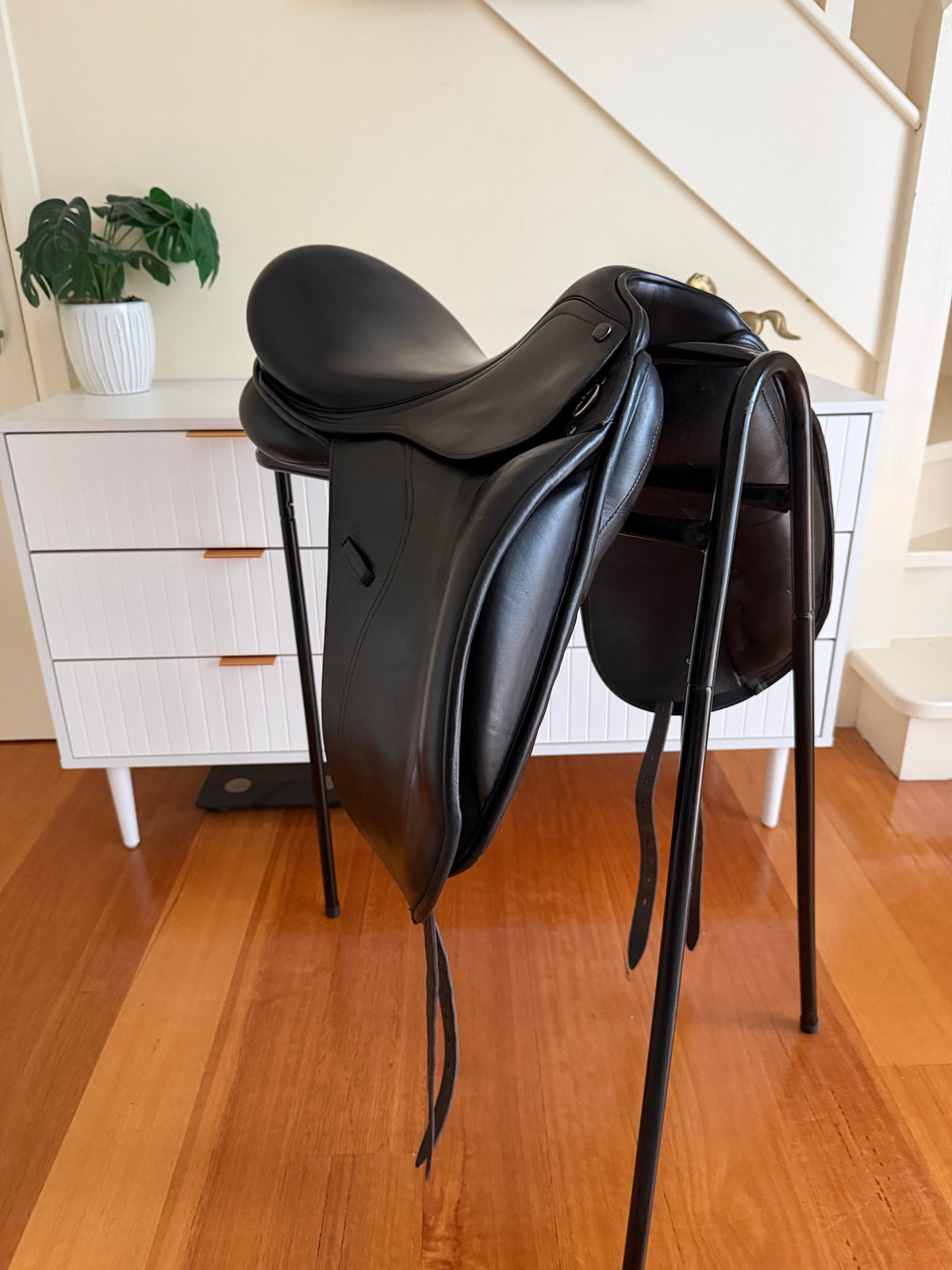 PDS Euro Dressage