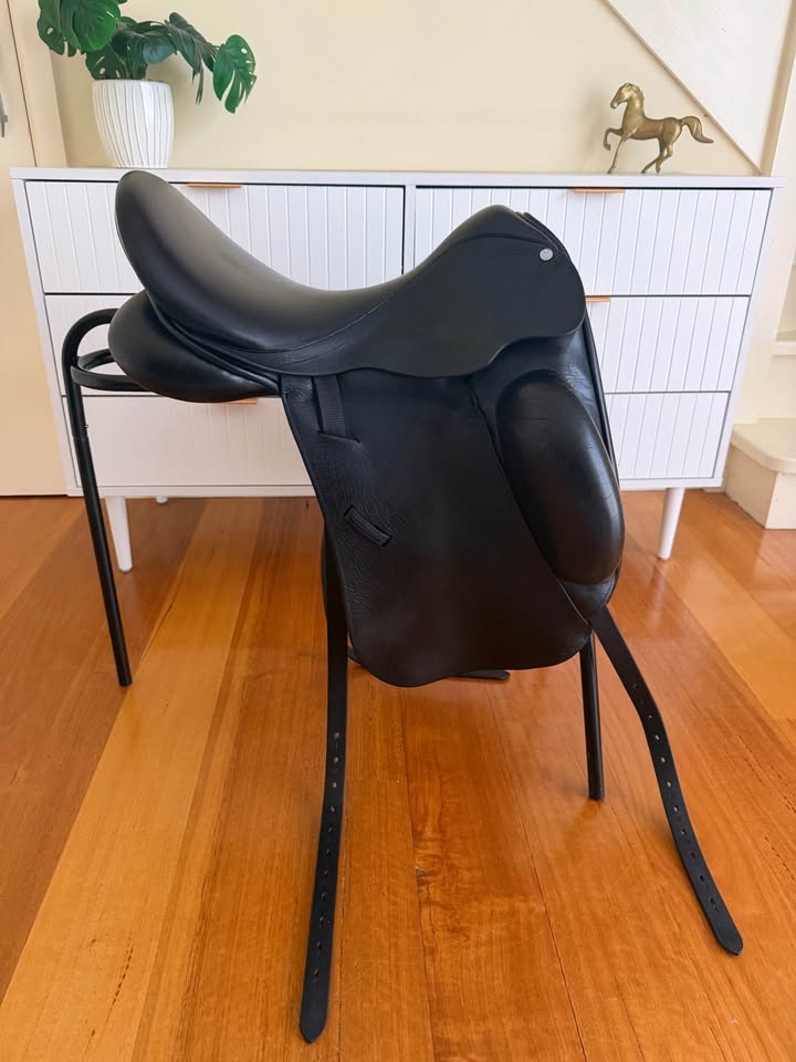 County Epiphany Dressage 17.5" 2020