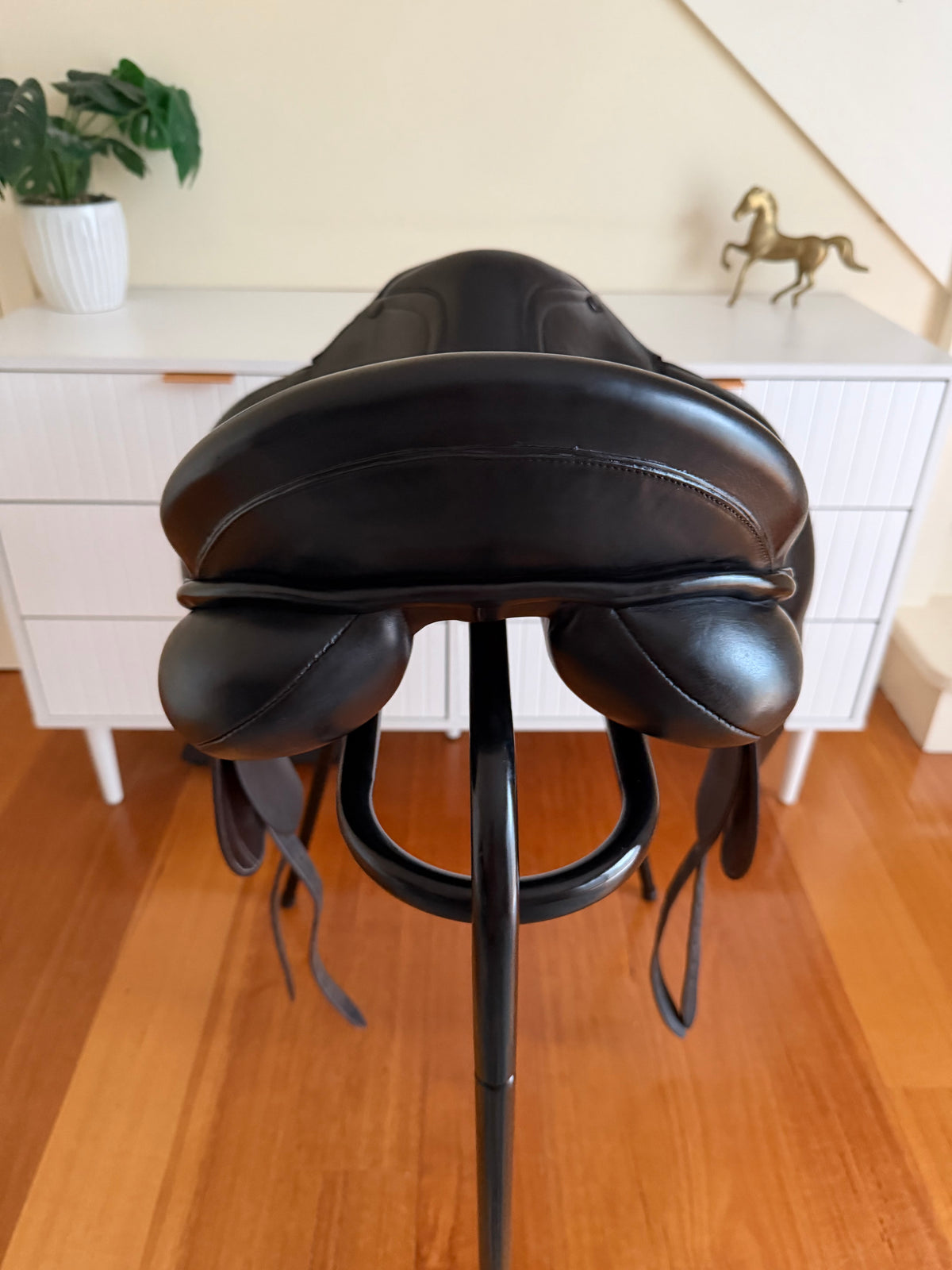 PDS Euro Dressage