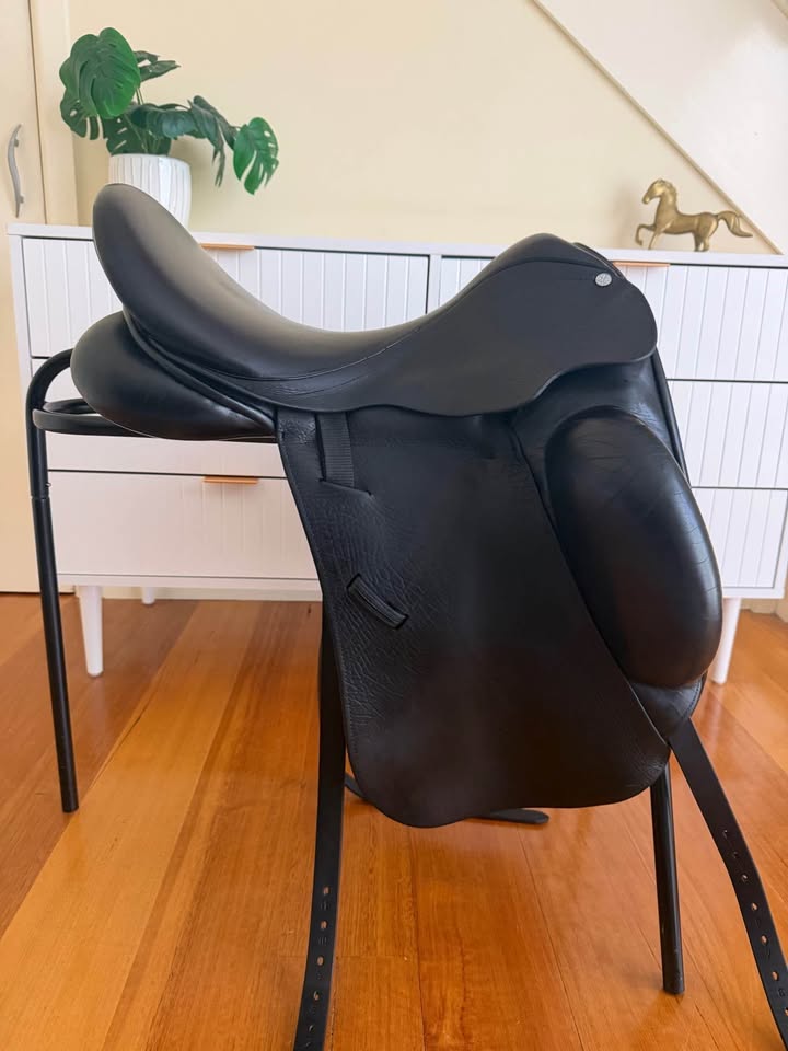 County Epiphany Dressage 17.5" 2020