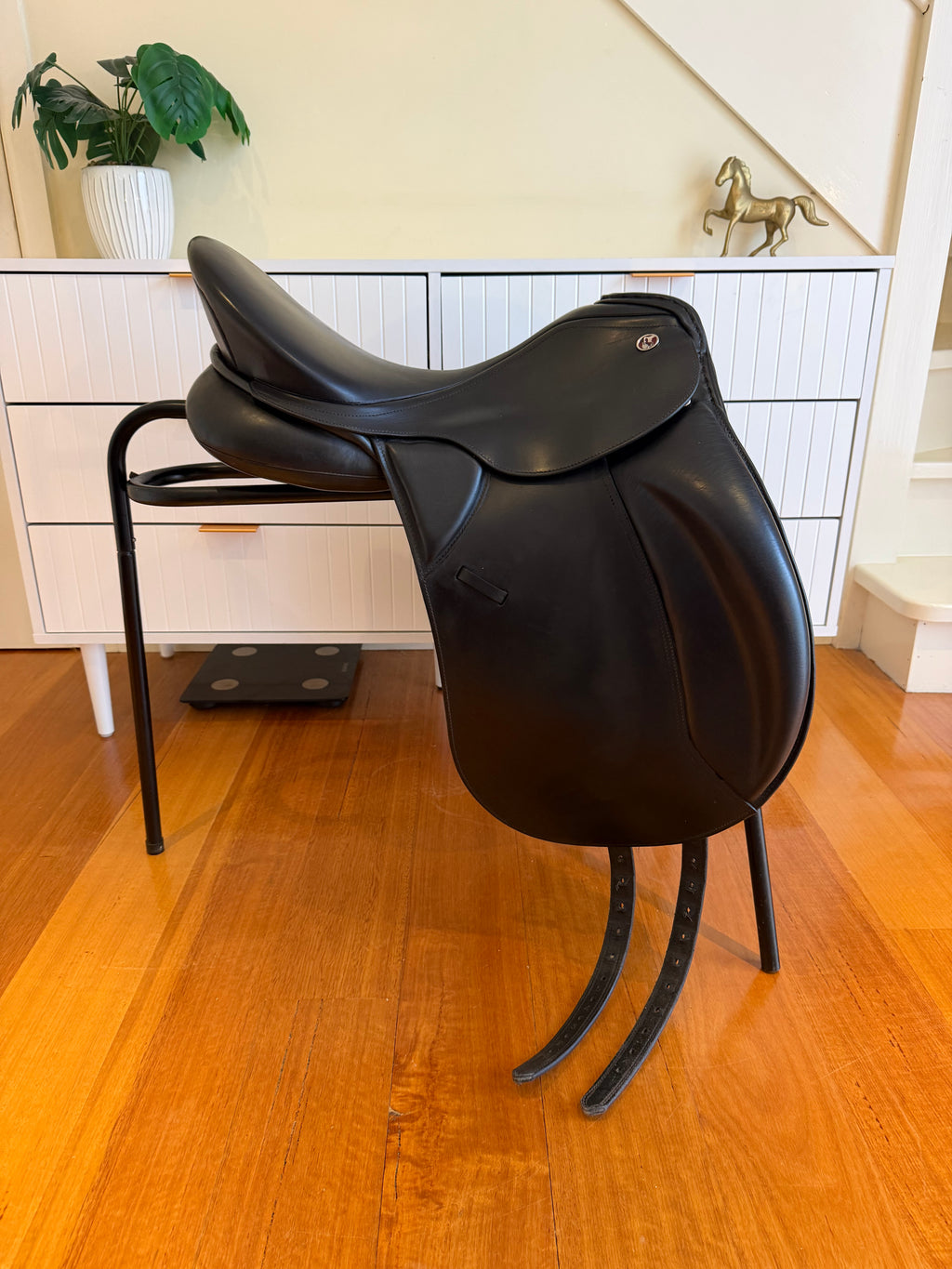 Kieffer Kur Dressage 17.5” 2008