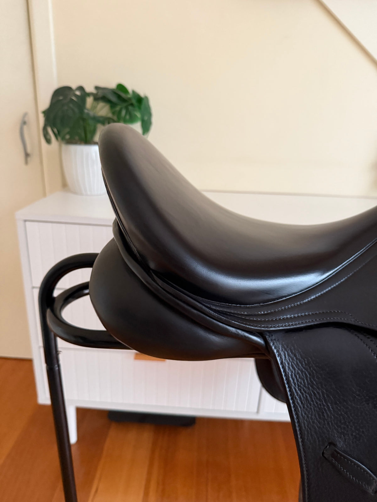 PDS Euro Dressage