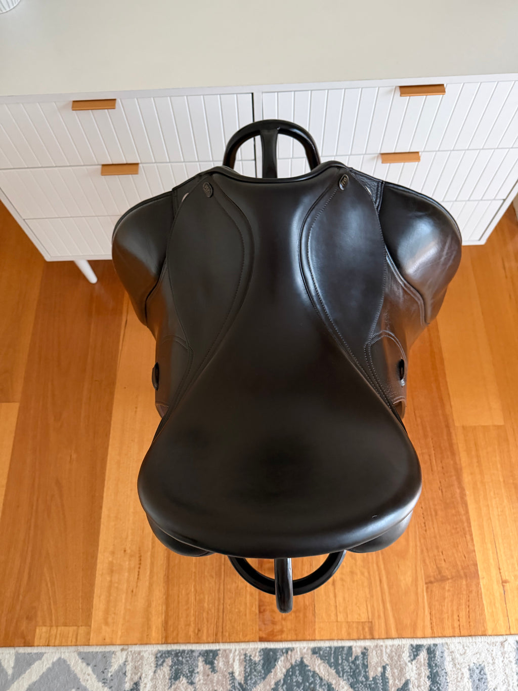PDS Euro Dressage