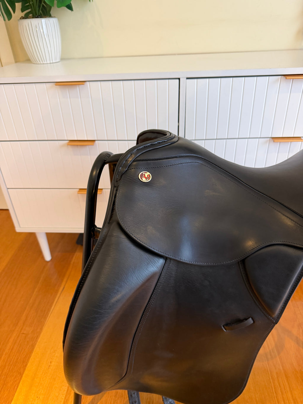 Kieffer Kur Dressage 17.5” 2008