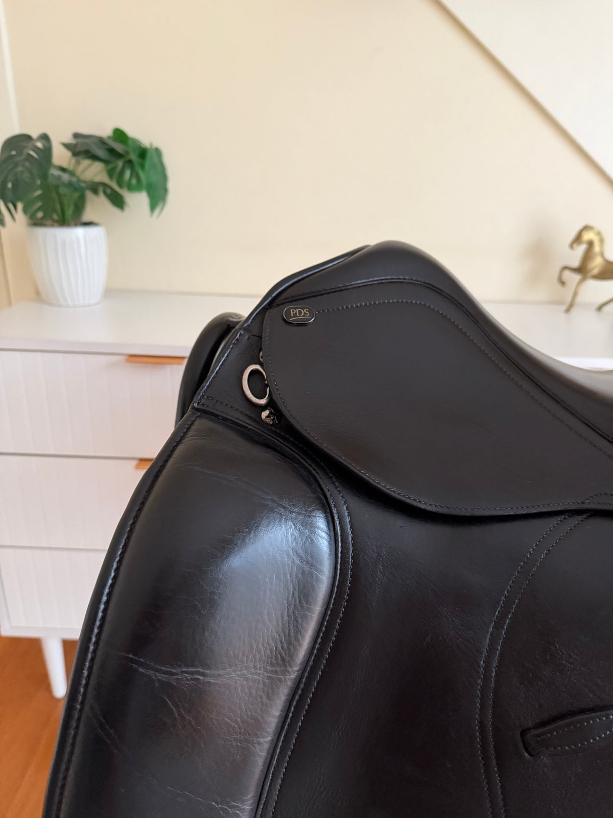 PDS Euro Dressage