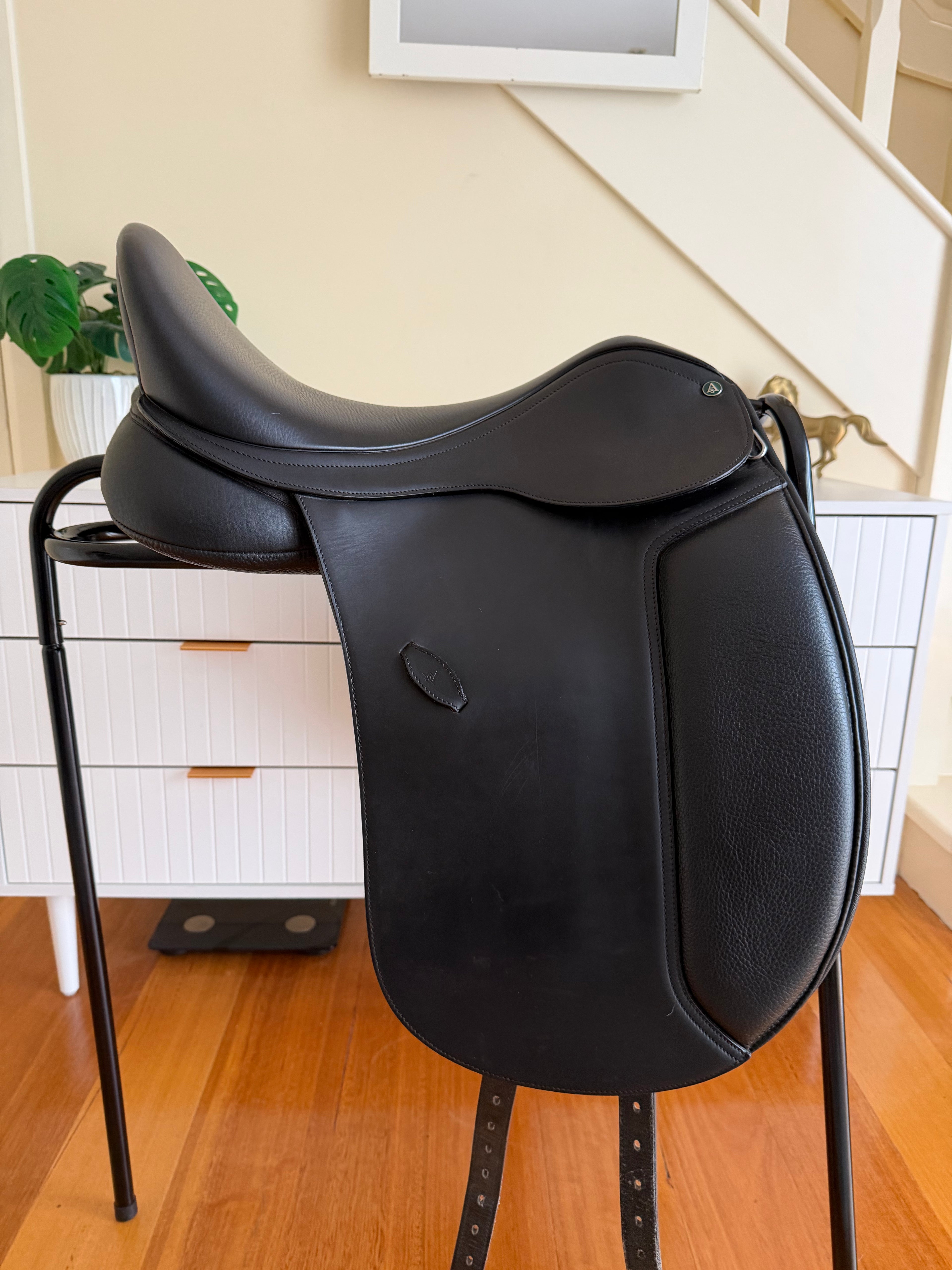 Arena Dressage