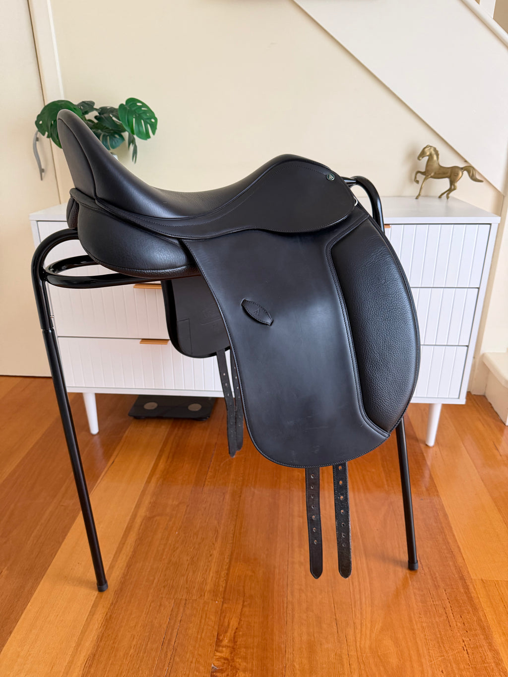 Arena Dressage